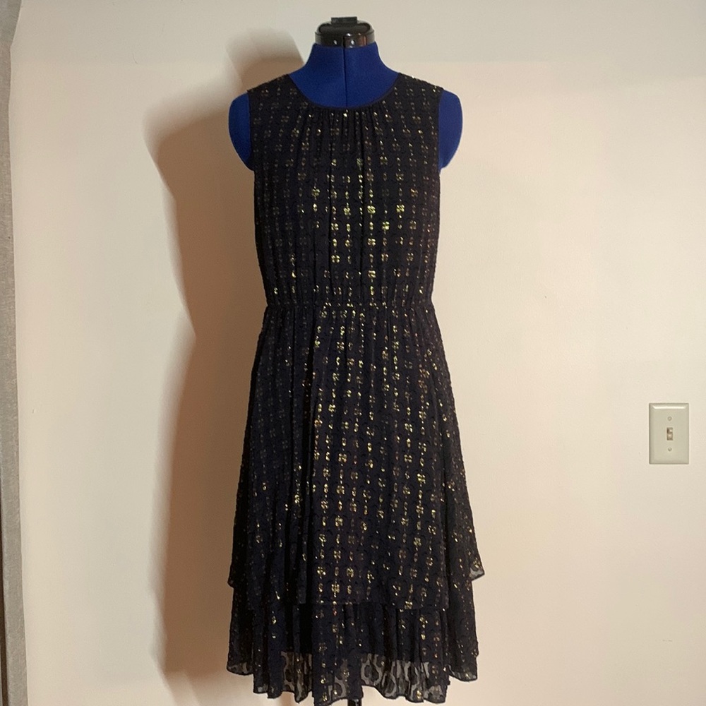 J.Crew Clip Dot Party Dress